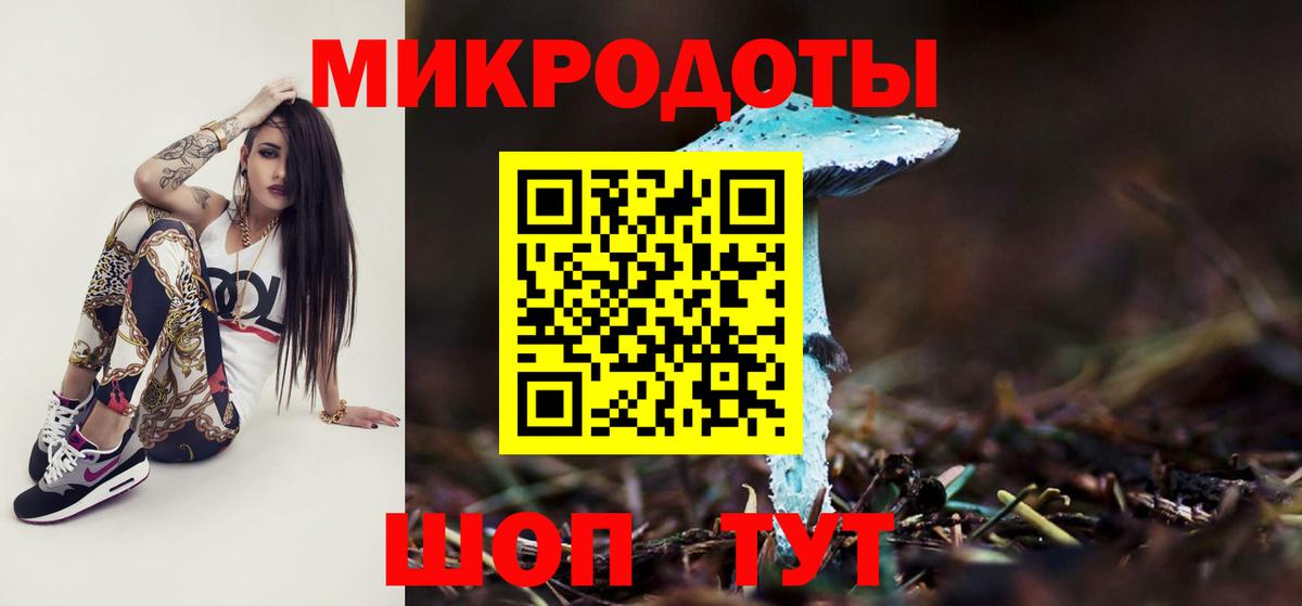 Михайловск  где можно купить наркотик  Вход с VPN  Галлюциногенные грибы Magic Shrooms 
